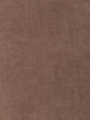 ткань микровелюр бисквит ширина 300 см, z707/1